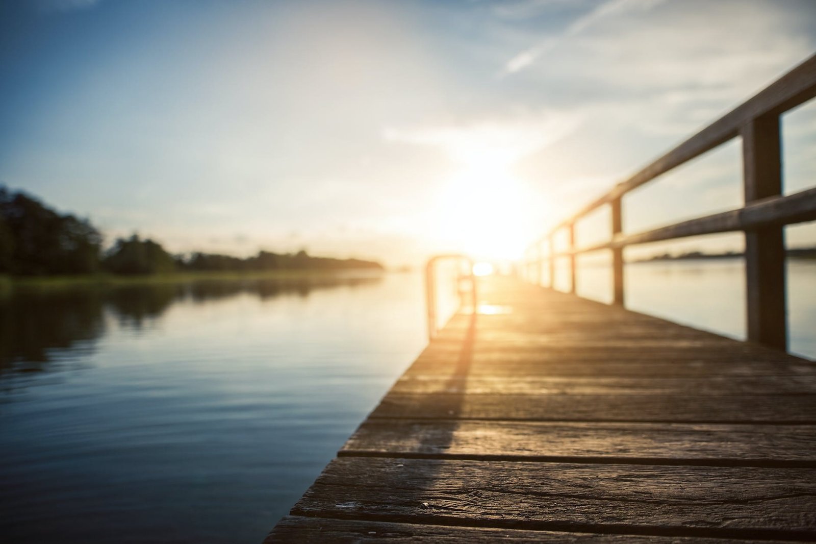 low angle photography of brown wooden dock at golden house Lake Padgett Estates Property Management