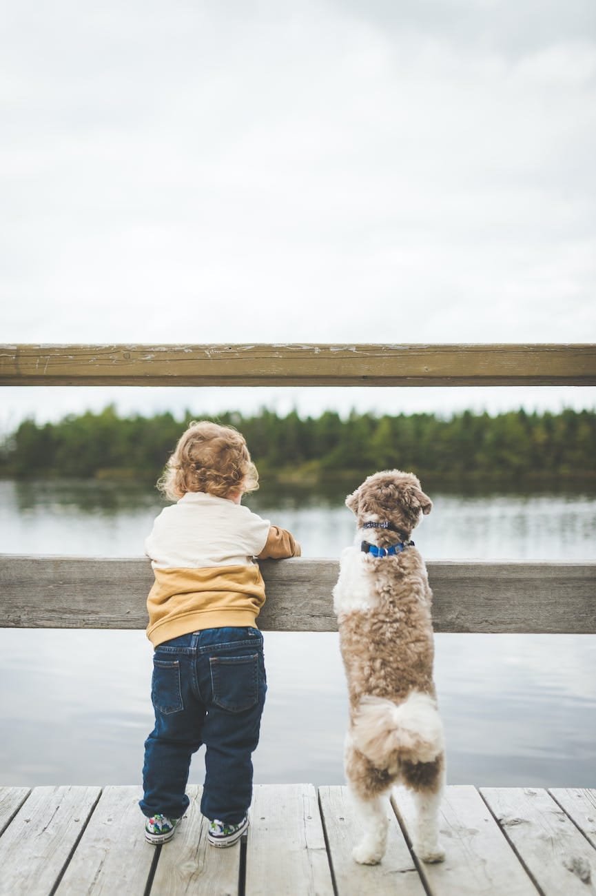 toddler and dog standing by the wooden fence Lake Padgett Estates rental
